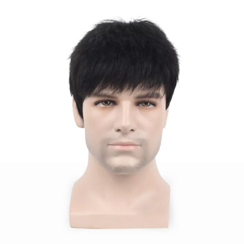 Men Wig New Design